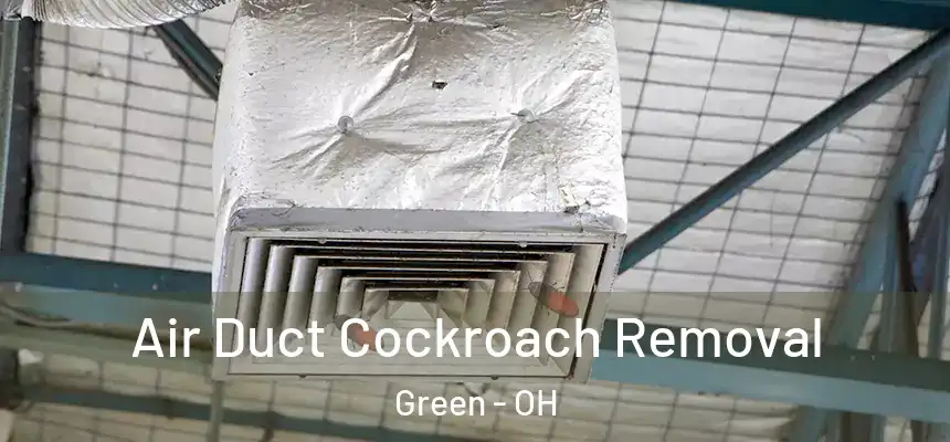 Air Duct Cockroach Removal Green - OH