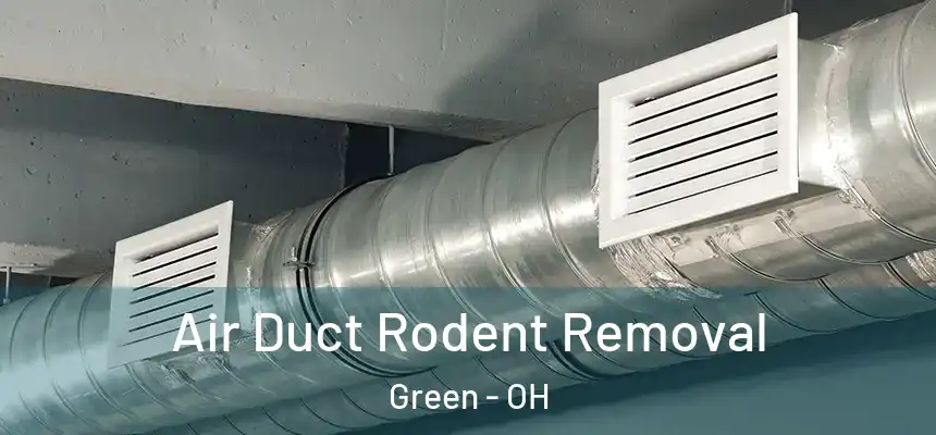  Air Duct Rodent Removal Green - OH