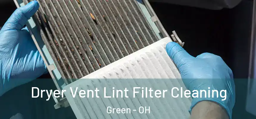 Dryer Vent Lint Filter Cleaning Green - OH