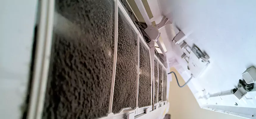 Preventive Air Duct Bacteria Removal in Green