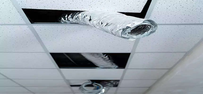 Affordable HVAC Sanitizing After Pest Removal in Green