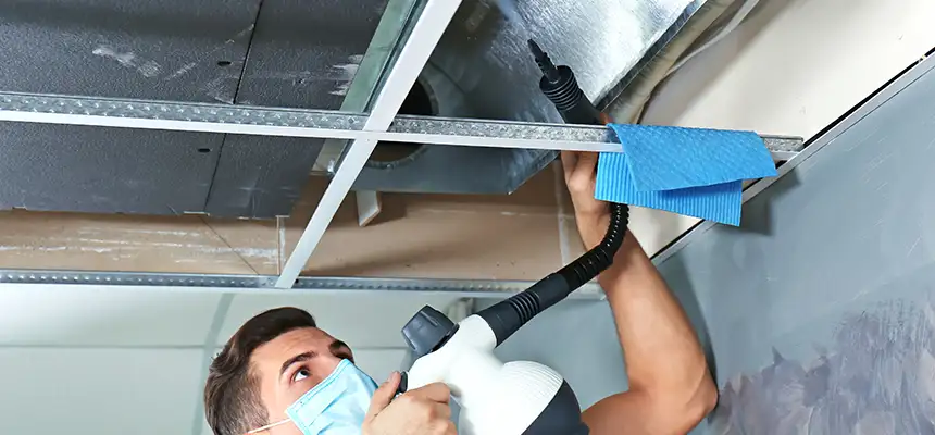 Our Air Duct Rodent Removal Services in Green, OH