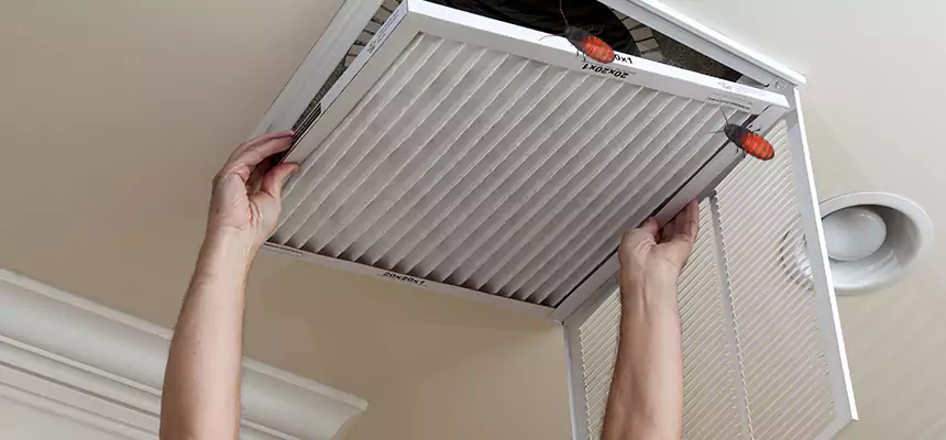 Our Insect Removal from Air Ducts Services in Green, OH