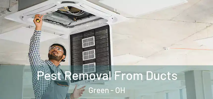  Pest Removal From Ducts Green - OH