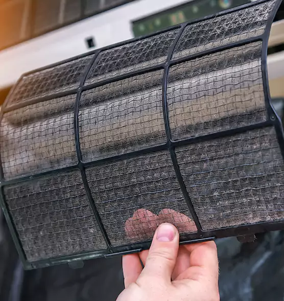 Top-notch AC Air Filter Replacement in Green