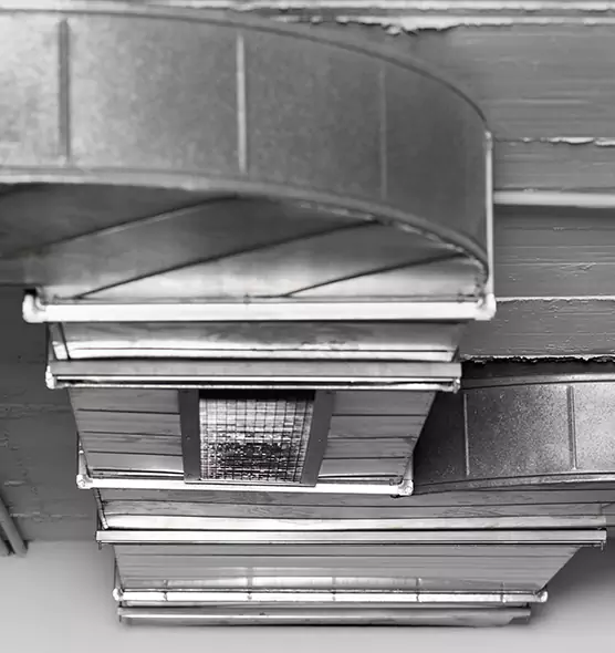 Professional Air Duct Pest Removal in Green, OH