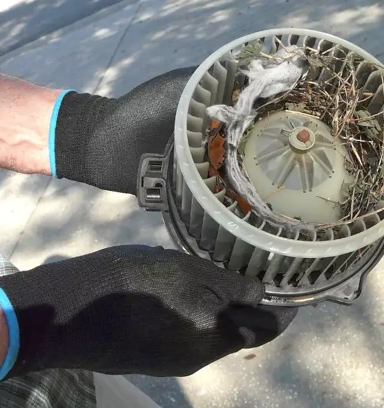 About Air Duct Rat Removal in Green, OH