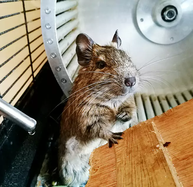 Why Homeowners & Businesses Trust Us Green, OH?