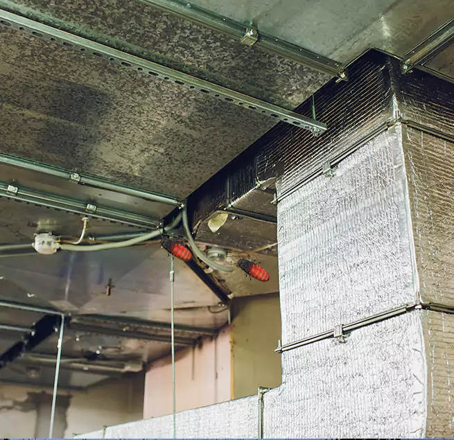 Why Homeowners & Businesses Trust Us Green, OH?